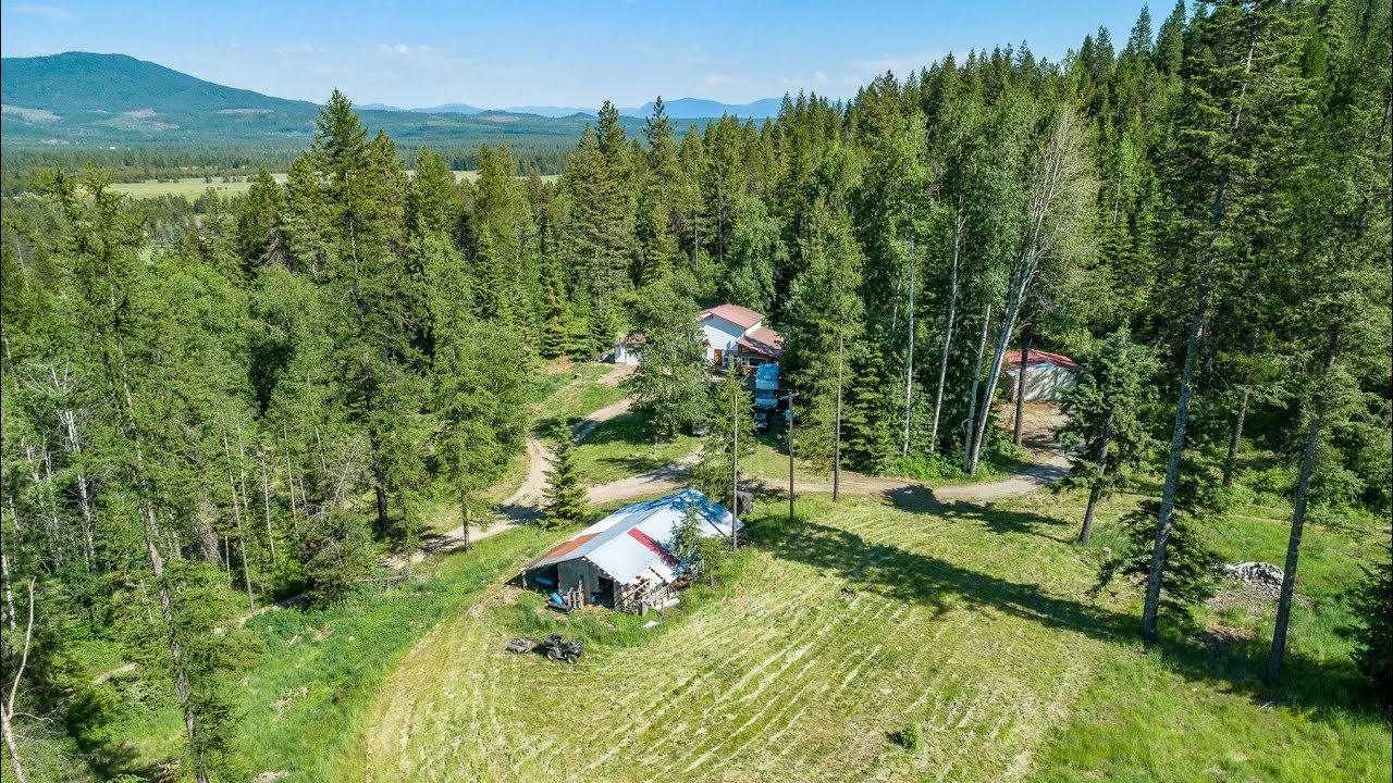 Hoodoo Mountain Rd Priest River, Idaho YouTube