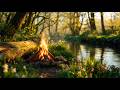 Soft Morning Light Through The Trees Campfire By The River