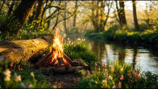 🌅 Soft Morning Light through the Trees 🌿 Campfire by the River screenshot 5