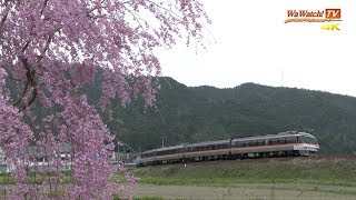 [4K60p] キハ85系 特急ひだ18号 枝垂桜のある風景
