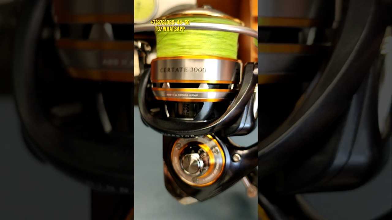 Daiwa 10 Certate 3000 #daiwa #fishing #shimano #fishing - YouTube