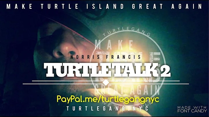 Norris Francis TURTLE TALK 2