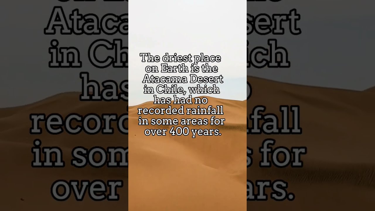 Chasing The Elusive Rain Unpredictable Climate Of Driest Place On Earth