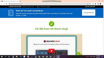 [ Share ] Full Code Tool Like Tây Rpwliker | Nguyễn Quang Dũng