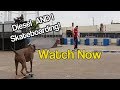 Diesel Skateboarding At The SkatePark-So HAPPY Watch! | Dog Videos Training |™MasterPaw Official Diesel Skateboarding At The SkatePark-So HAPPY Watch! | Dog Videos Training |™MasterPaw Official