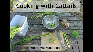 Cooking with Cattails