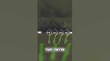 Rowing Technique: Maximizing Boat Speed and Efficiency #shorts