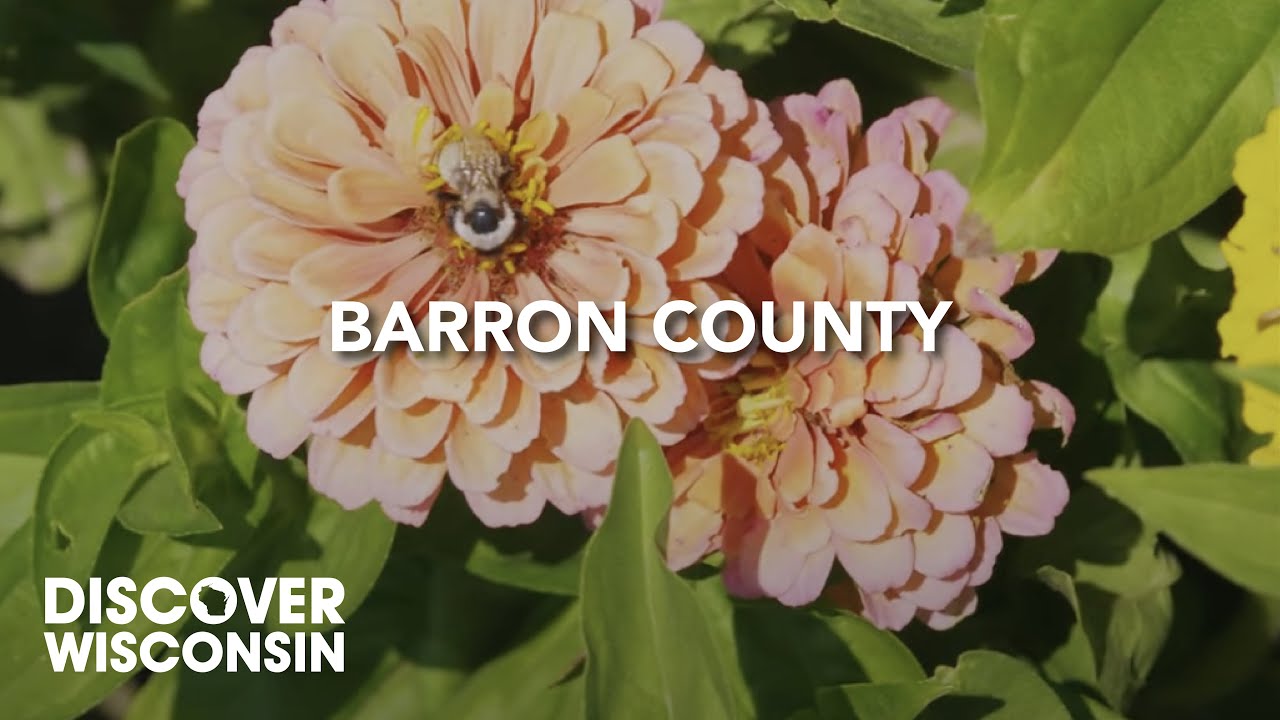 Chillin' Out in Wisconsin: Barron County