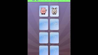 Memory Cards