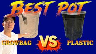 Grow Bags vs Plastic Pots: Which Grows Better? screenshot 3