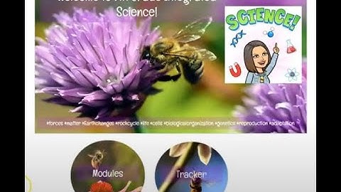 Accessing Canvas, Progress Tracker, & Classwork Material