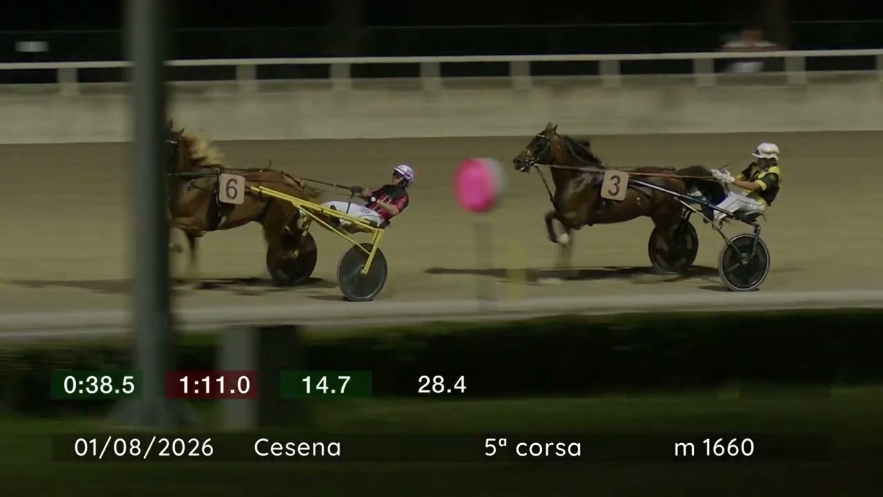 2026 08 01 | Corsa 5 | Metri 1660 | Premio Orogel Fresco