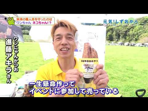 にゃんちゃん取引 YouTube
