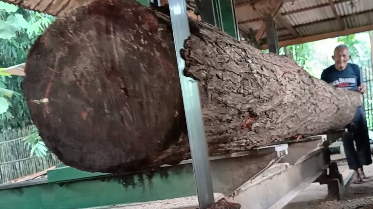 Going crazy! This big log made the machine explode/at the sawmill 