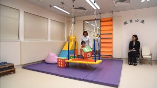 Genetic Profile & Clinical App. of Chromosomal Microarray in Children with Intellectual Disability