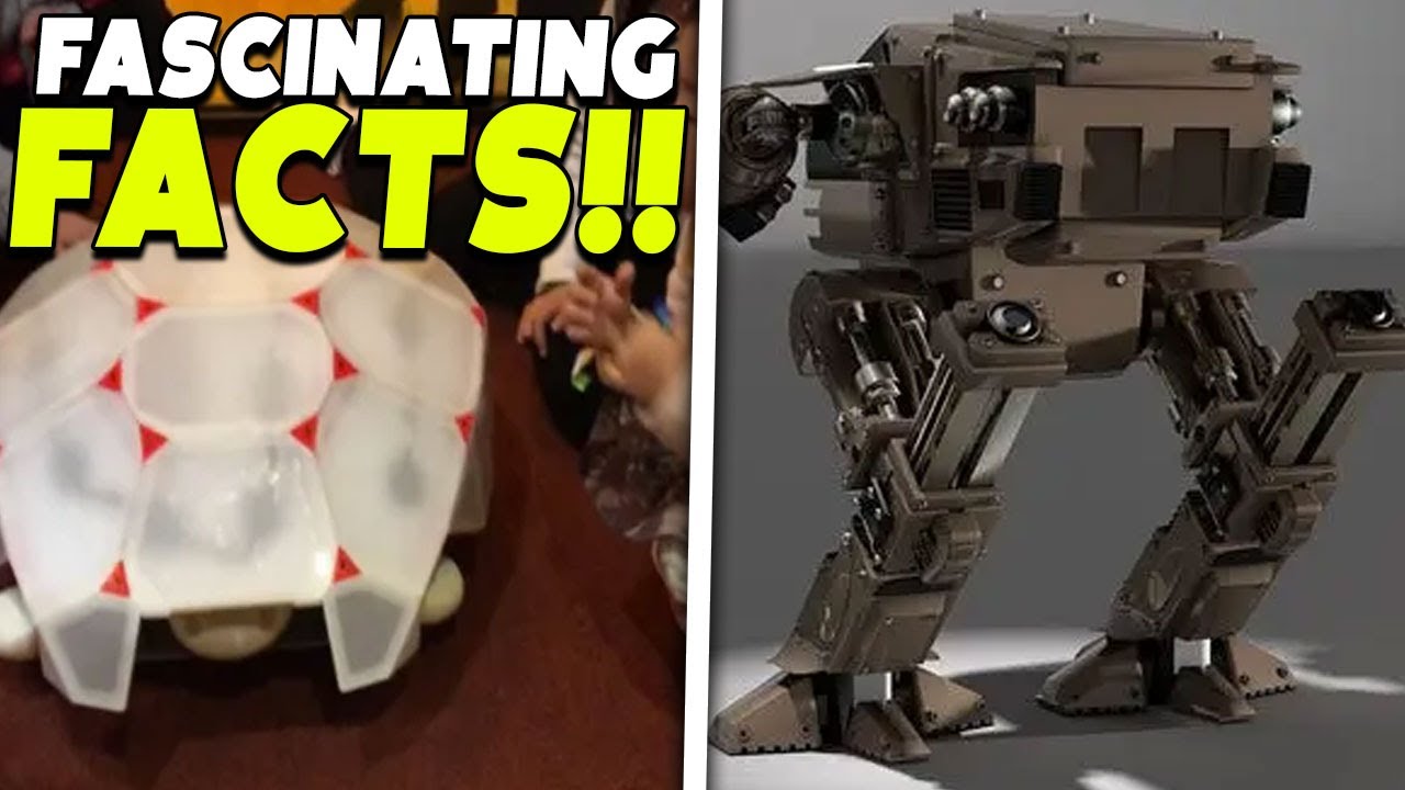 FASCINATING Facts about Robot Abuse!