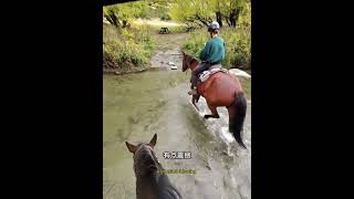 Hundred rides challenge! Would I do this Cardrona horse ride again?