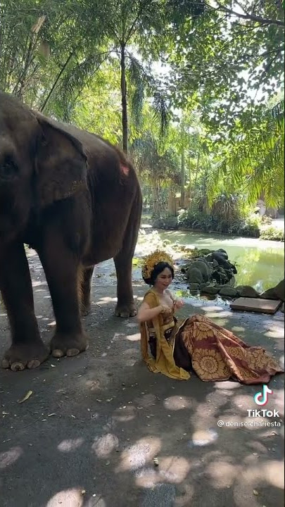 TIKTOK PEMERSATU BANGSA