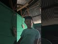Snake post #funny #video