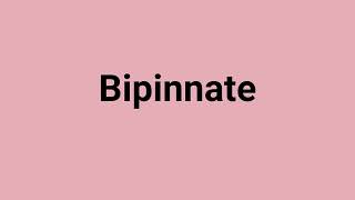 'Bipinnate' Meaning and Pronunciation