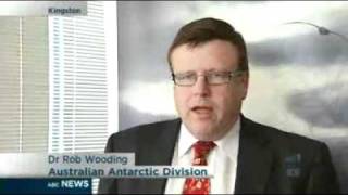 Damaged plane grounded in Antarctica