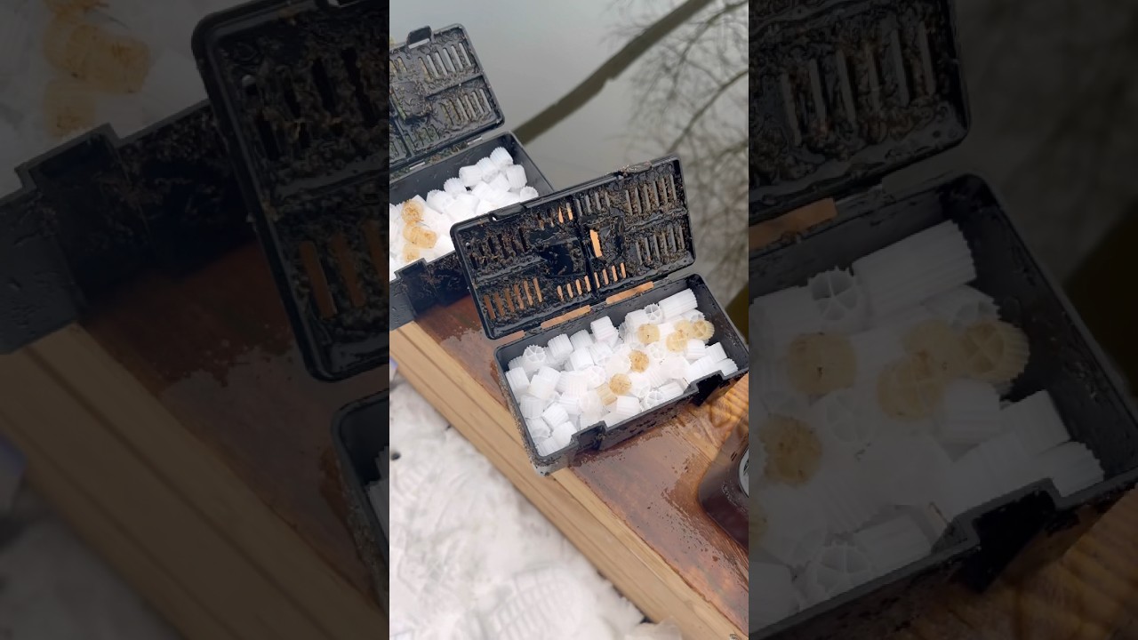 Cold Hands, Clean Pond ❄️ K1 Media Upgrade 