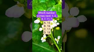 Which Number Comes Next 1 2 4 7 11 