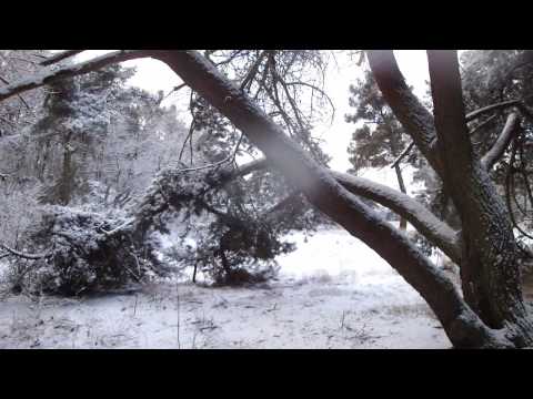 hondenwinter2.wmv