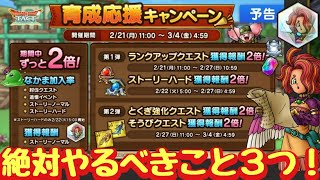 【ドラクエタクト】初心者＆無課金の人必見！育成応援キャンペーンで絶対やるべきこと３つ！（1.5周年終盤）