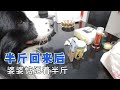 724Q 阿龙萌萌直播 婆婆想念半斤视频聊天 小秋回到院子收拾灯笼卫生 724Q 阿龙萌萌直播 婆婆想念半斤视频聊天 小秋回到院子收拾灯笼卫生