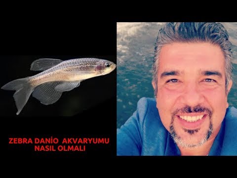 Video: Danışma Teklifi Nasıl Oluşturulur: 15 Adım