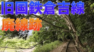鳥取県にある元々国鉄だった廃線跡の中にある竹林が素敵すぎた！【鳥取県  倉吉市】