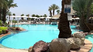 The Swimming Pool @ Orchid Hotel Eilat, Israel