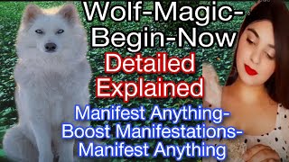 WOLF-MAGIC-BEGIN-NOW SWITCHWORD MEANING,HOW TO USE-MANIFEST ANYTHING--REMOVE OBSTACLES-wolf magic