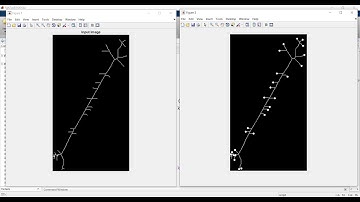 Simple Algorithm to detect End-Points of a Skeleton of an Image | Digital Image Processing | MATLAB