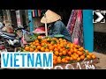 Españoles en el mundo: Vietnam (1/3) | RTVE