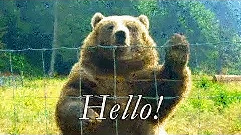 Hello in 10 different Languages