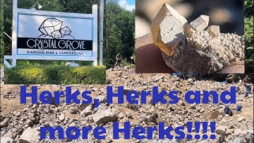 ✨ 💎 Herkimer Diamond Heaven. So many beauties found at Crystal Grove. #HerkimerDiamonds #Crystals