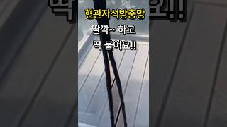 방충망인데 자동으로 ‘착’ 붙어요? 현관자석방충이에요^^ #쿠팡추천템 #살림템