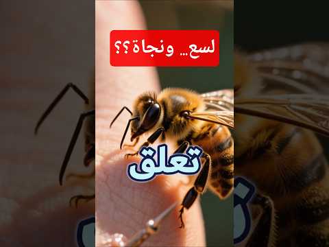 كيف ينجو النحل من الموت بعد اللسعة