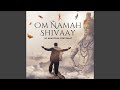 Om namah shivaay