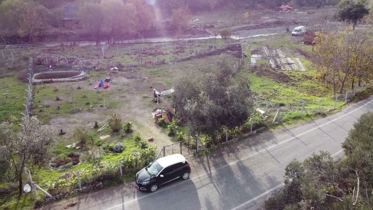 Burhaniye Karadere asfalt üzeri hobi bahçesi... #özgüngayrimenkulyatirim