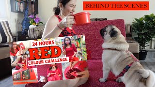 24 Hour Red Colour Challenge | Unseen Footage With Simba | Cute & Funny Video