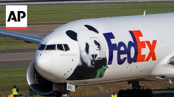 Watch pandas arrive at D.C
