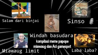 Kompilasi meme papope @Miawaug dan @acigamespot !