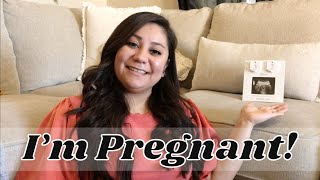 Surprise! I am PREGNANT!!! | Where have I been update | 1st Trimester