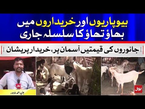 Prices Of Sacrificial Animal Hikes A Day Before Eid ul Azha