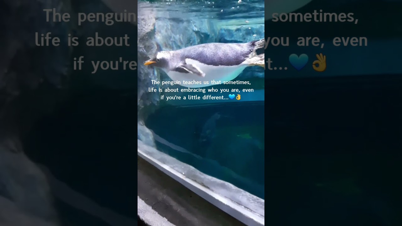 Self acceptance...✌💙 