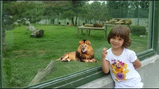 Hayvanat Bahçesinde Eğleniyorum - Eğlenceli Çocuk Videosu | in the Zoo screenshot 5