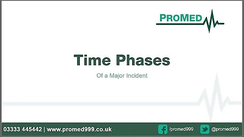 ProMed - Webinar Time phases of major incidents